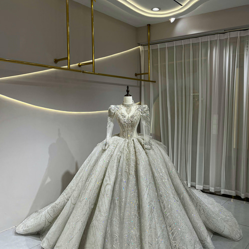 韓国風 キラキラウェディングドレス シースルー袖 プリンセスライン