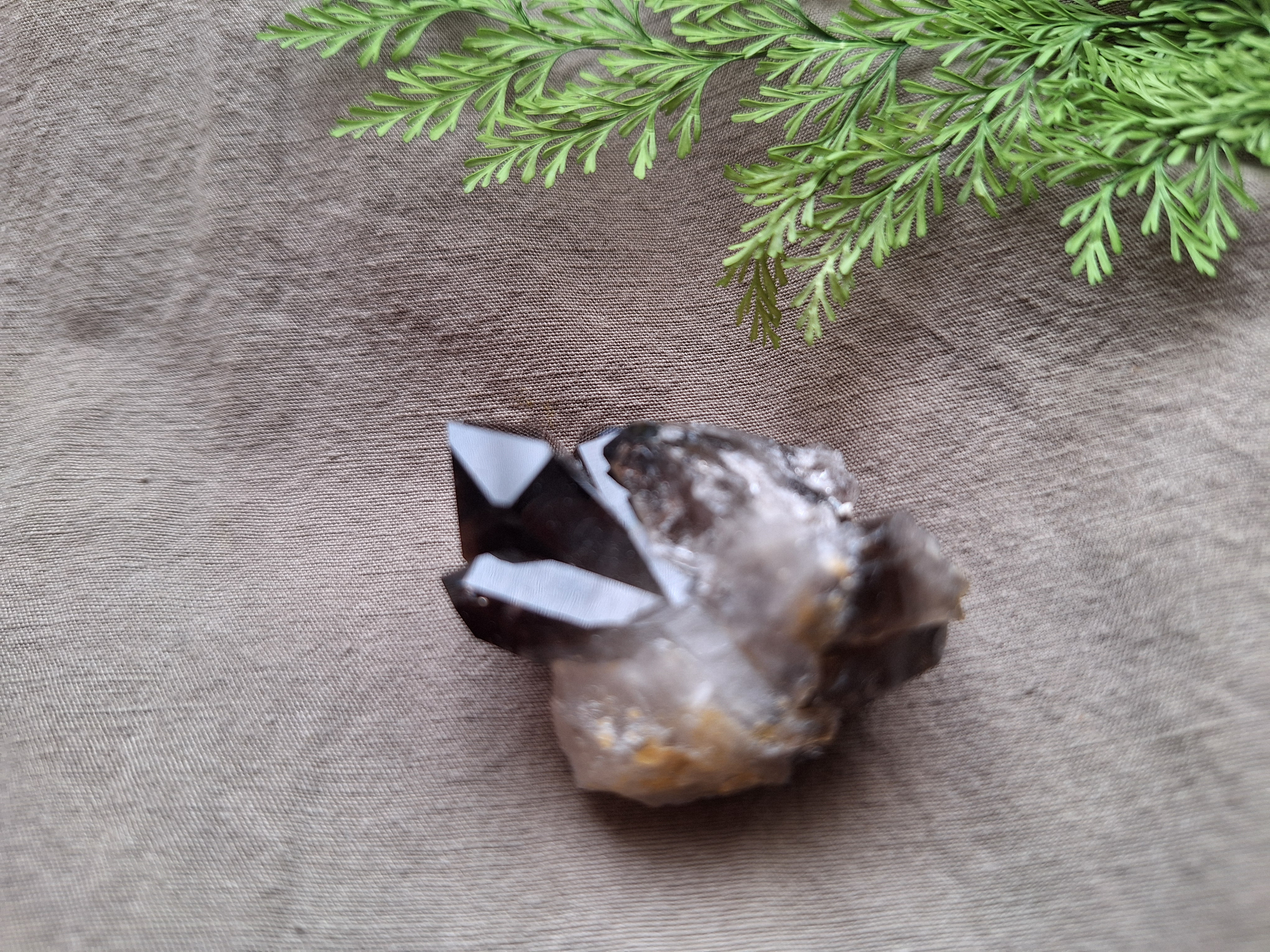 アーカンソー州産  モリオン （黒水晶）クラスター  ⑥