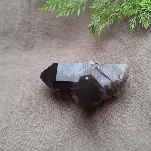 モリオン クラスター アーカンソー州産 漆黒の輝きを放つ「モリオンクラスター」（アメリカ・アーカンソー州産