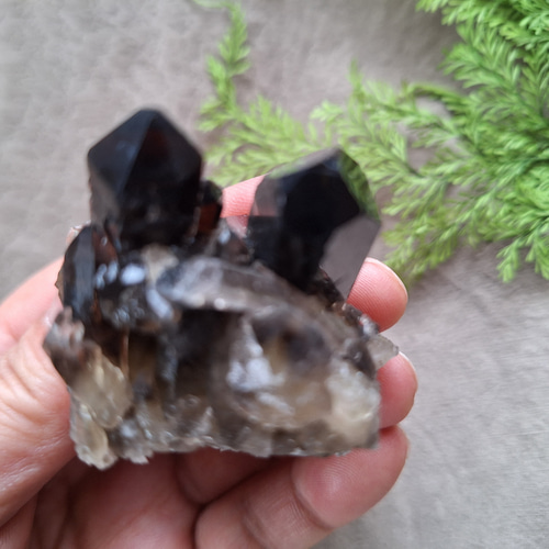 アーカンソー州産 モリオン （黒水晶）クラスター ⑩ その他インテリア