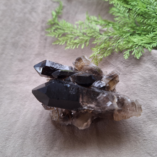 アーカンソー州産 モリオン （黒水晶）クラスター ⑩ その他