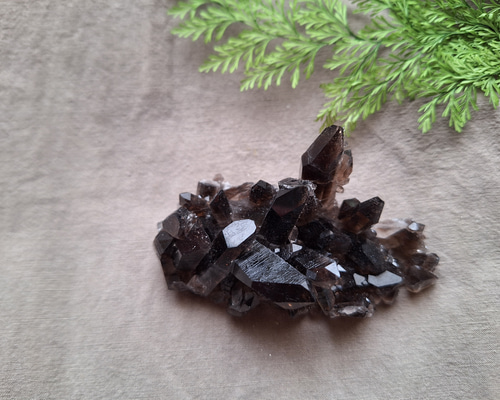 アーカンソー州産 モリオン （黒水晶）クラスター ⑪ その他インテリア