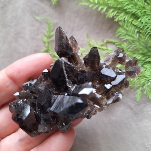 モリオン クラスター アーカンソー州産 漆黒の輝きを放つ「モリオンクラスター」（アメリカ・アーカンソー州産