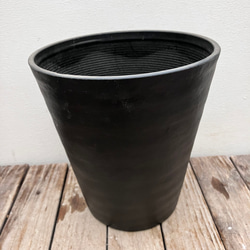 ココナッツアイス＊グレビレア＊常緑樹＊ガーデニング＊ 7枚目の画像