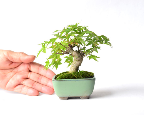 1f91e6ebaa7e66e240f47492cae769