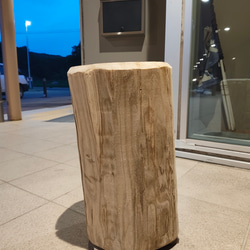 万年茸(霊芝）きのこのオブジェ キノコインテリア 立体・オブジェ 貫木