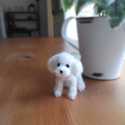 ちびっ子　トイプードル　モールアート モールアート トイプードル 犬 ハンドメイド （モールドール