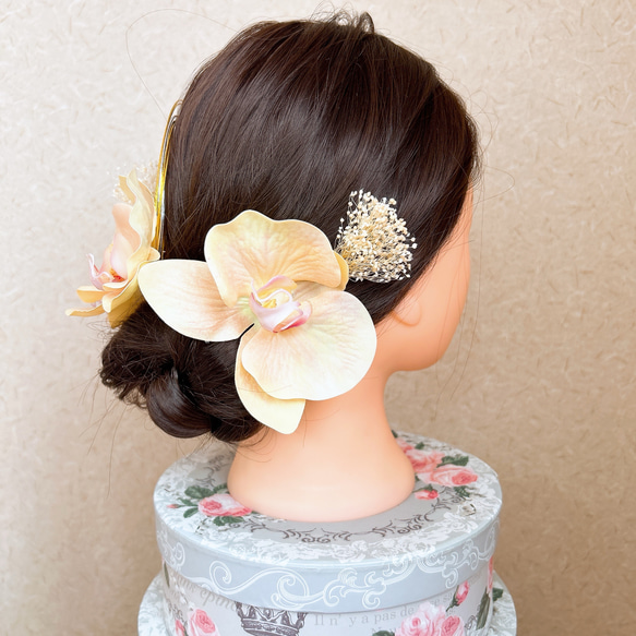 送料無料 淡いオレンジ胡蝶蘭の髪飾り 結婚式 成人式 水引  ウェディング ゴールド 優しい 薄い 5枚目の画像
