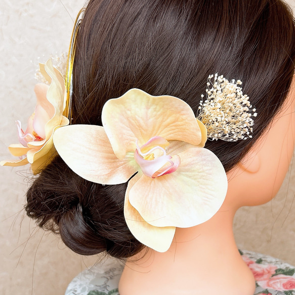 送料無料 淡いオレンジ胡蝶蘭の髪飾り 結婚式 成人式 水引  ウェディング ゴールド 優しい 薄い 6枚目の画像
