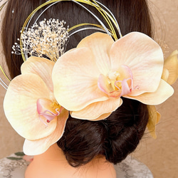 送料無料 淡いオレンジ胡蝶蘭の髪飾り 結婚式 成人式 水引  ウェディング ゴールド 優しい 薄い 4枚目の画像
