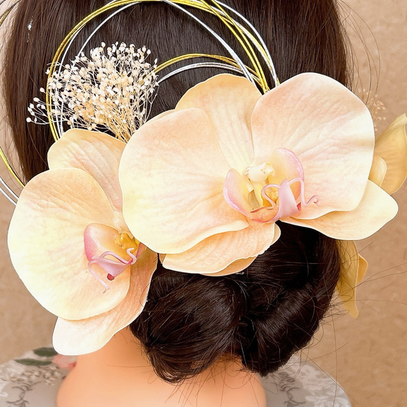 送料無料 淡いオレンジ胡蝶蘭の髪飾り 結婚式 成人式 水引  ウェディング ゴールド 優しい 薄い 4枚目の画像