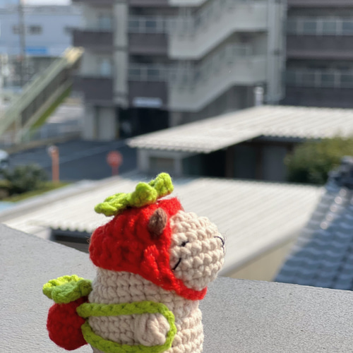 あみぐるみ　ハンドメイド　カピバラ　夏♡【オーダー商品ぱる】 あみぐるみ カピバラ あみぐるみ トネリ（Ok-3&Co.） 通販 15238917