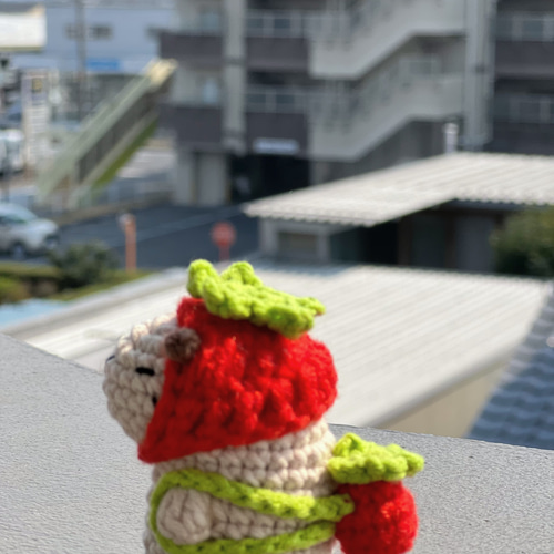 カピバラちゃん編みぐるみ あみぐるみ 青空 通販 19354858｜Creema