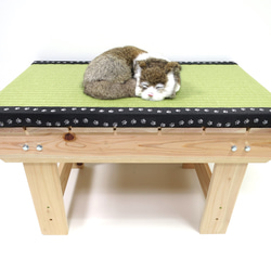 猫もくつろげる1人掛け畳縁台【ベンチ】 2枚目の画像