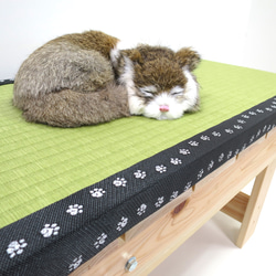 猫もくつろげる1人掛け畳縁台【ベンチ】 1枚目の画像