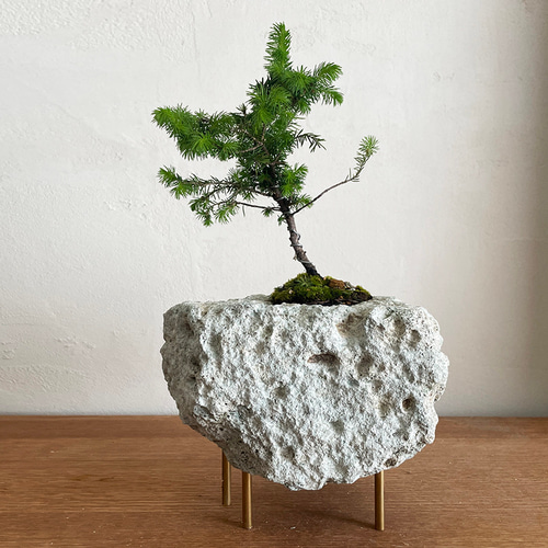 大谷石｜ストーンポット（石鉢・植木鉢） 一輪挿し・花瓶・花器