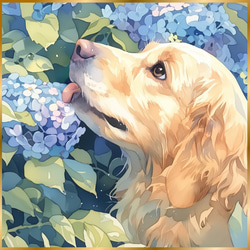 雨犬戯舞 - ゴールデンレトリバー犬の子犬 No.1】梅雨・季節・時期
