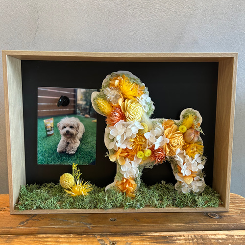 ♡Animalフラワーシルエット♡プードル♡プリザーブドフラワー 立体