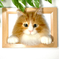 08607293cc62d90fad489e024fefb2