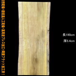 木曽檜 B864 一枚板 乾燥材 棚板 カウンター テーブル DIY 耳付