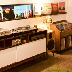 DIG THE RECORD SHELF  レコード収納　本棚　マンガ　文庫本　ビンテージ　ミッドセンチュリー 17枚目の画像