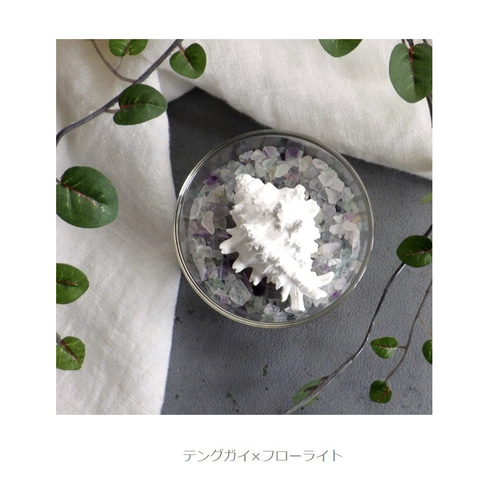 Creema限定 数量限定【セット販売】アロマストーン □ 海の生き物 1点