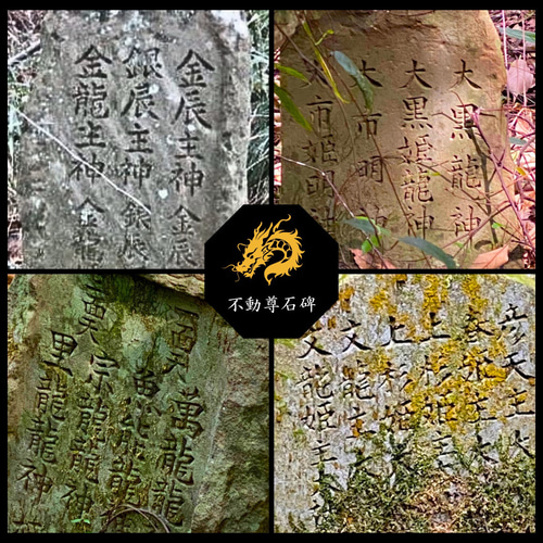 開花セット 龍神祝福 純金箔革財布 × 光波動 シトリンルース 約
