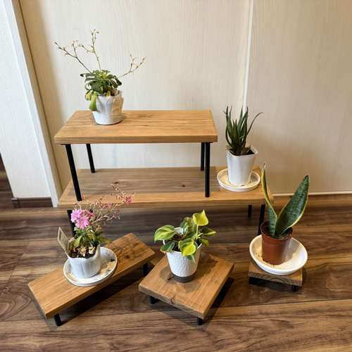 花台 5点セット 木製 杉無垢材×アイアン 植物スタンド 観葉植物 ディスプレイ 花台 5点セット 木製 杉無垢材×アイアン 植物スタンド 観葉植物
