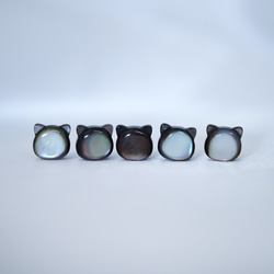 【黒猫のフックピアス】黒蝶貝 /  サージカルステンレス / 金属アレルギー対応 5枚目の画像