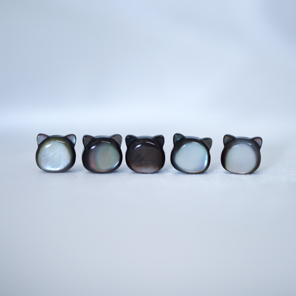 【黒猫のフックピアス】黒蝶貝 /  サージカルステンレス / 金属アレルギー対応 5枚目の画像