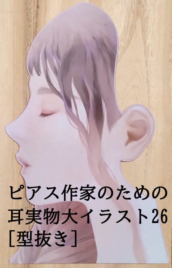  第1張的照片