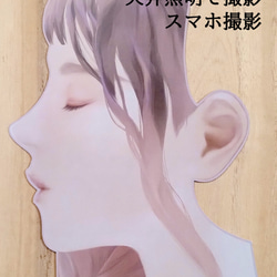  第2張的照片
