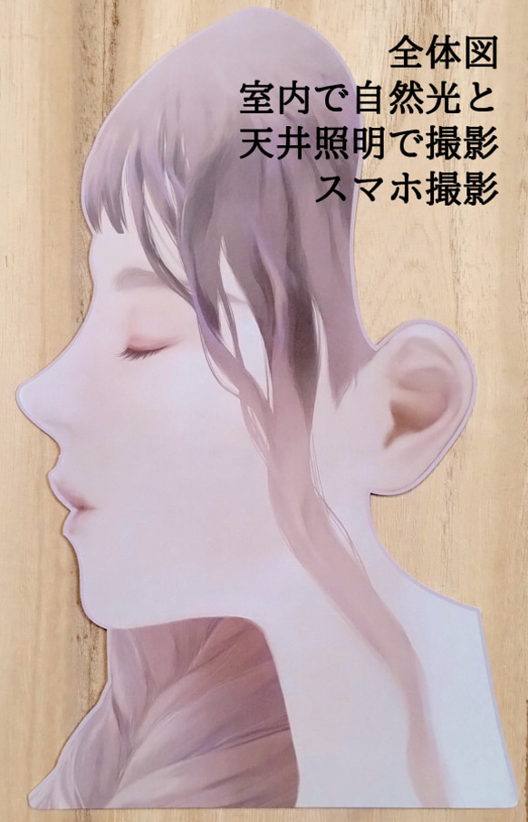  第2張的照片