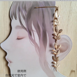  第6張的照片