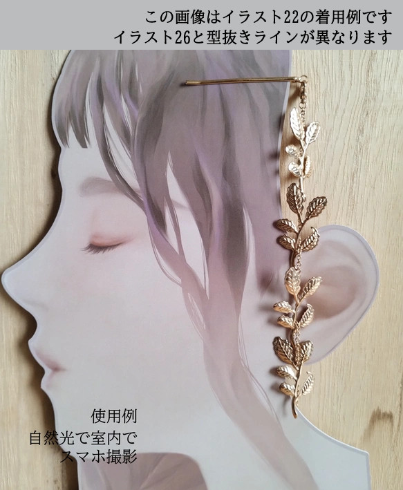  第6張的照片