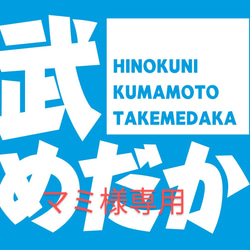 サイズオーダー　ビオトープ飼育　木枠カバー　トロ舟3辺合計175cm未満 サイズオーダー ビオトープ メダカ飼育カバー トロ舟3辺合計175cm未満