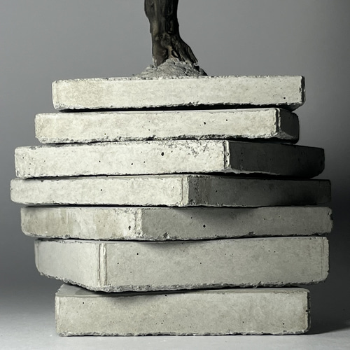 自然木のアートオブジェ 流木アート，流木オブジェ，流木ライト,流木ディスプレイ,流木