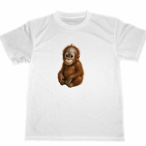 ドライ Tシャツ オラウータン イラスト 子供 赤ちゃん アニマル 動物 T