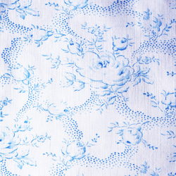 アンティークリトグラフ　L.LEVY-DHURMER アンティークリトグラフ L.LEVY-DHURMER 絵画 doudou-antique