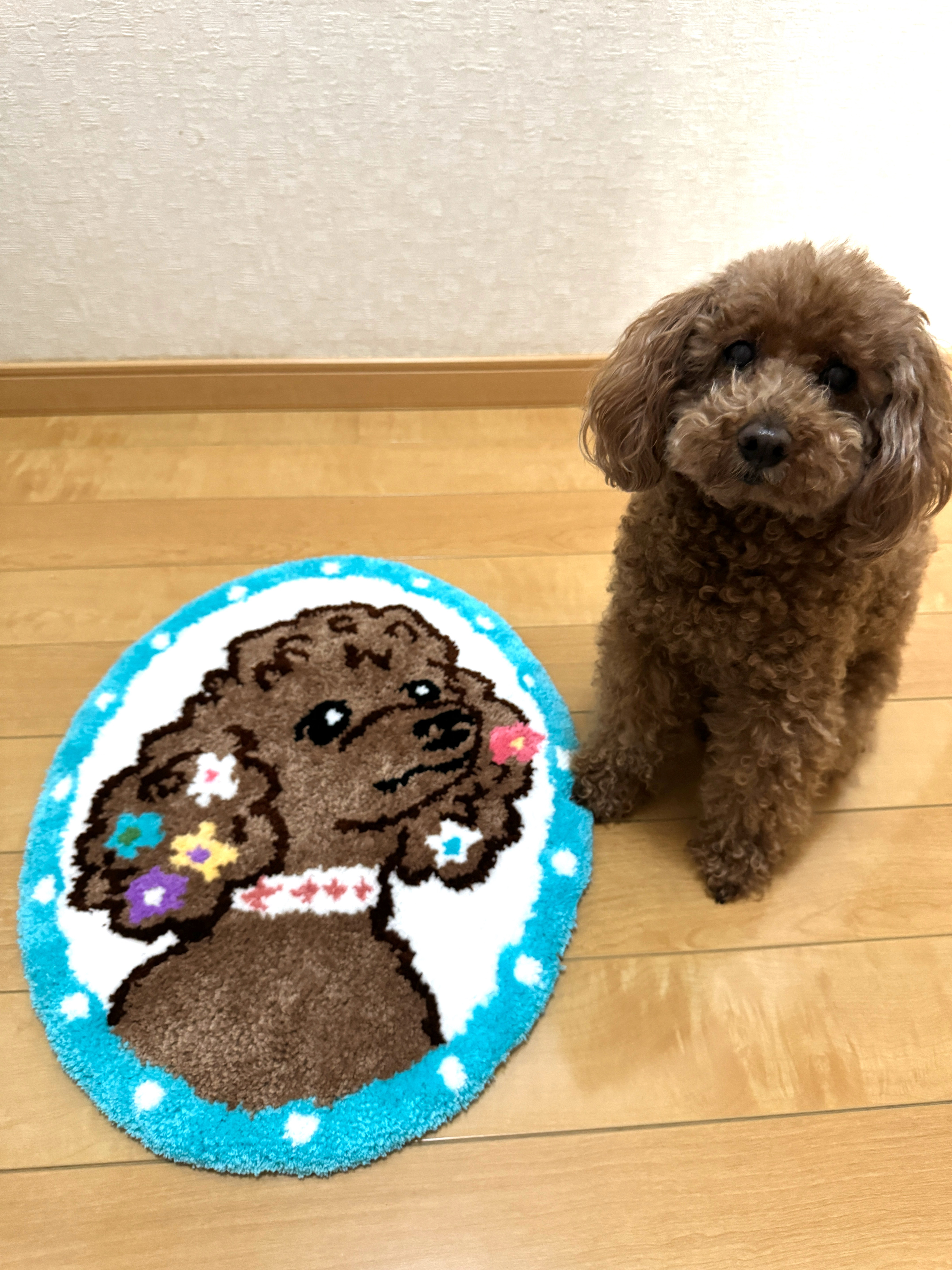 ５名様限定デザインラグ【トイプードル】