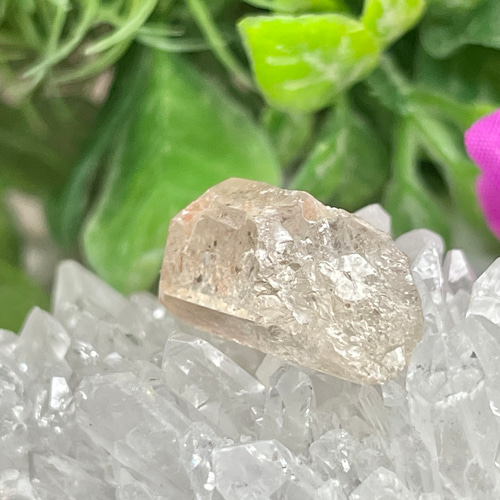 スターゲイザー✴︎ ピンクレムリアンシードクリスタル　マスタークリスタル　水晶 スターゲイザー✴︎ ピンクレムリアンシードクリスタル マスター