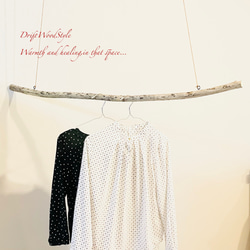 流木インテリア シンプルで真っすぐな大型流木のハンガーラック 北欧 衣装掛 ハンギング 吊り下げ ハンガーポール N69 2枚目の画像