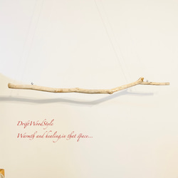 流木インテリア シンプルで真っすぐな大型流木のハンガーラック 北欧 衣装掛 ハンギング 吊り下げ ハンガーポール N70 7枚目の画像