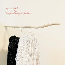 流木インテリア シンプルで真っすぐな大型流木のハンガーラック 北欧 衣装掛 ハンギング 吊り下げ ハンガーポール N71 1枚目の画像