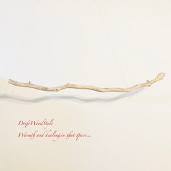 流木インテリア シンプルで真っすぐな大型流木のハンガーラック 北欧 衣装掛 ハンギング 吊り下げ ハンガーポール N73 7枚目の画像