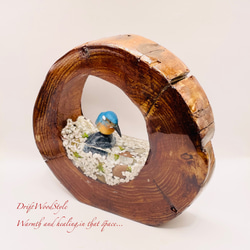 一つ限りの流木アート 水辺のカワセミ ジオラマ 流木 フィギュア 置物 動物 鳥 インテリア レジン 水辺 N39 4枚目の画像