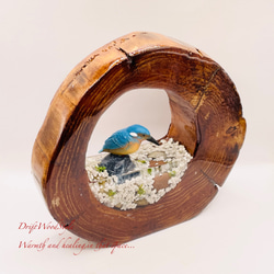 一つ限りの流木アート 水辺のカワセミ ジオラマ 流木 フィギュア 置物 動物 鳥 インテリア レジン 水辺 N39 3枚目の画像