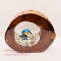 一つ限りの流木アート 水辺のカワセミ ジオラマ 流木 フィギュア 置物 動物 鳥 インテリア レジン 水辺 N39 2枚目の画像