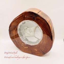 海の世界を閉じ込めた流木アート 海を泳ぐマンタ 水中ジオラマ 流木 レジンアート オブジェ アクアリウム N9 8枚目の画像