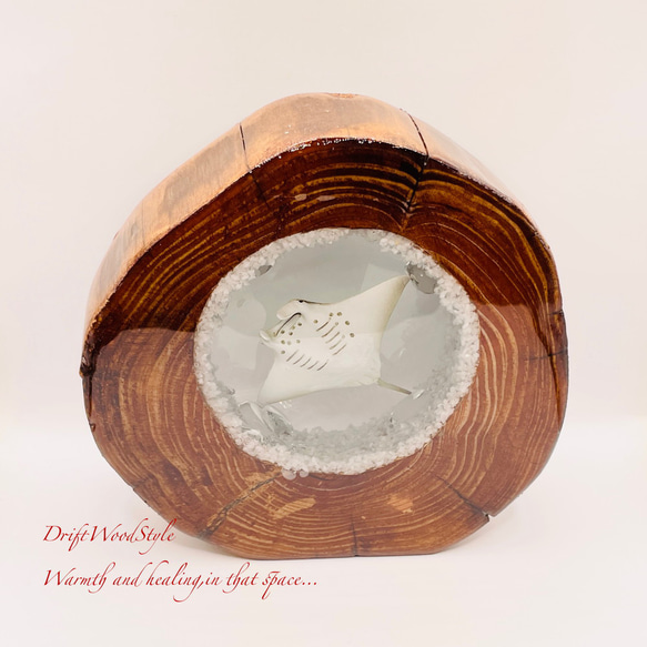 海の世界を閉じ込めた流木アート 海を泳ぐマンタ 水中ジオラマ 流木 レジンアート オブジェ アクアリウム N9 7枚目の画像